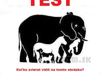 TEST ! koľko zvierat vidíte na obrázku ? :)
