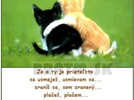 Čo je priateľstvo :D