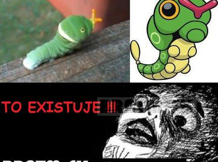 Woow, tak to fakt existuje :D