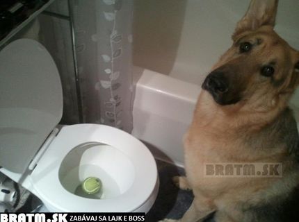 Tomuto sa povie GAME OVER :D