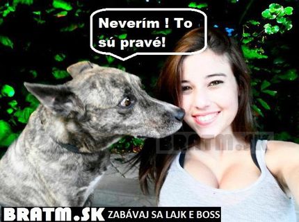 :D Ten pes to vystihol :D