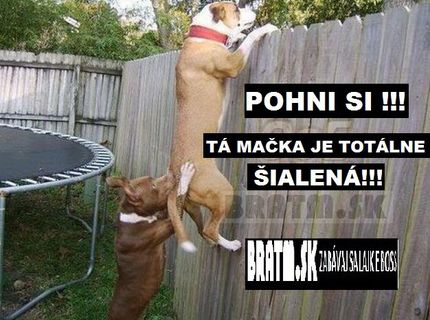 Tak toto je iná tímová práca :D