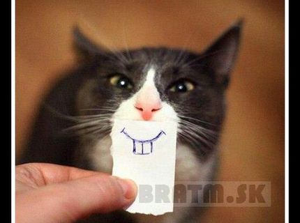 Tak toto je podarená číííča :)