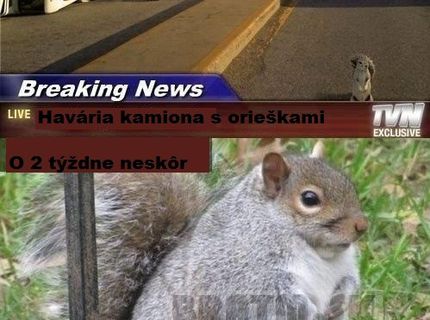 TOTO JE ZABITÉ :D:D NEPOTREBUJE KOMENTÁR ! :D