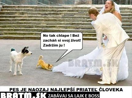 Nie nadarmo sa hovorí, že pes je najlepší priateľ človeka :D