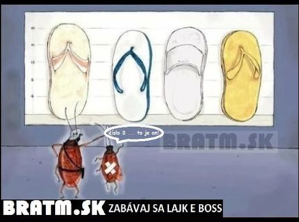 Ako vyzerá zločin zo života hmyzu :D