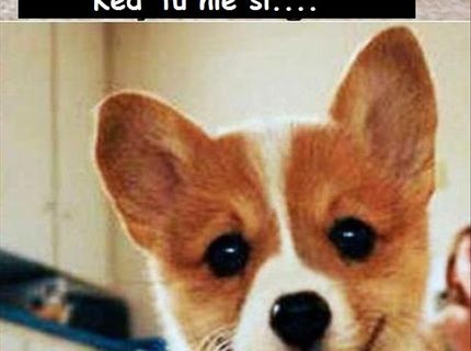 Kráásne :) kto súhlasí, like ! :)