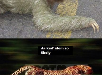 Takto to vyzerá keď idem do školy...a keď z nej odchádzam :D