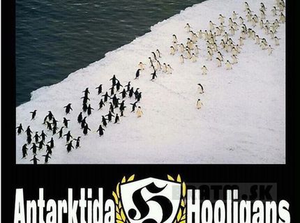 Antarktída HOOLIGANS :D