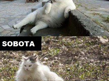 Stáva sa vám toto pravidelne ? :D