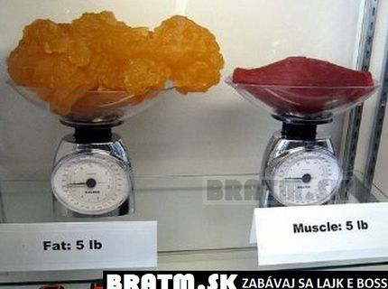 Rovnaká váha ,rozdielne množstvo. Kto z vás posiluje ? :)
