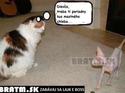 Dievča, tebe treba poriadny kus mastného chleba :D