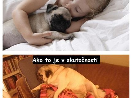 Majitelia psov... súhlasíte ? :D