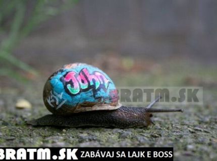 John a jeho štýlové bývanie :D