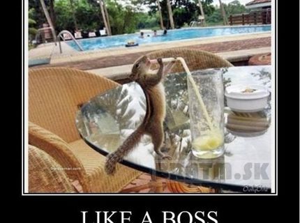 LIKE A BOSS :)))