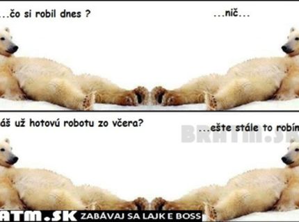 Kto sa v tom vidí ? :D
