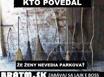 Dôkaz, že ženy naozaj vedia parkovať ! :D