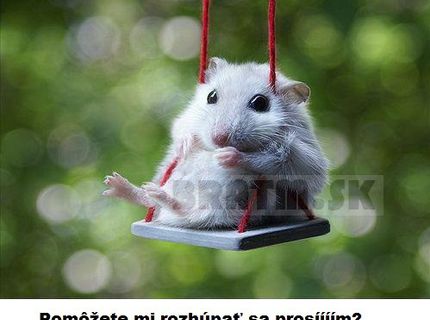 Kto mu pomôže ? :)