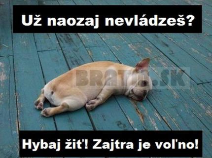 Kto sa teší na deň voľna ? :)