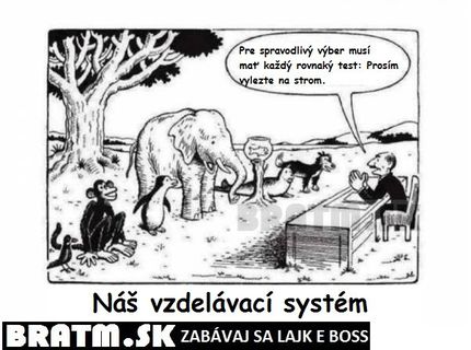 Náš vzdelávací systém