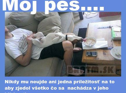 Aj vy máte takéhoto psa ? :D