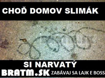 Ako sa prejavuje alkoholizmus u slimákov :D