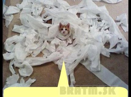 To nie ja, to on ! :D