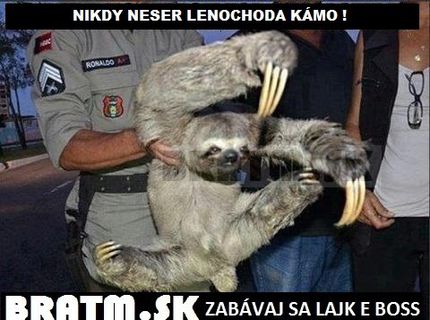 Nikdy neser leňochoda :D