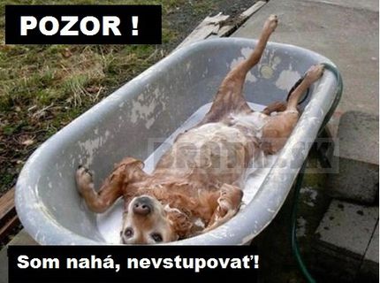 Toto je ale krásavica :)