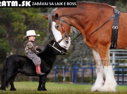 Krásne priateľstvo :)