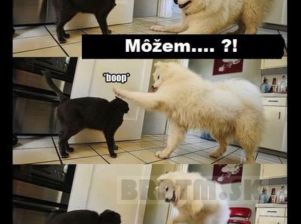 Hej mačka ! :D