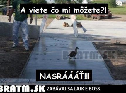 A viete, čo mi môžete ? :D