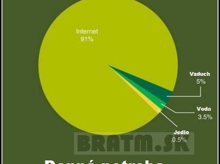 Aj pre vás je internet potrebný až v takejto miere ?