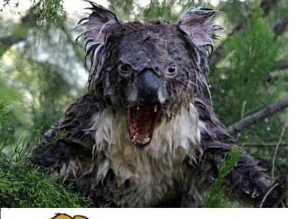 A čo si myslíte vy ? :D
