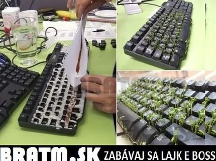 Trošku prírody pri každodennom vysedávaní za počítačom :D