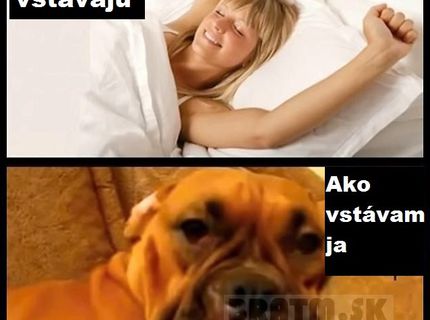 Ako ráno vstávam :D