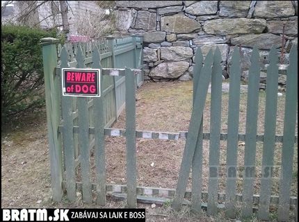 Toto bol šikovný psíček :D