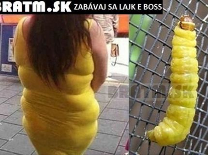 Geniálna podoba :D