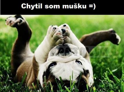 No nie je krásny ? :)