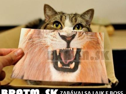 Tak toto je riadna šelma :D