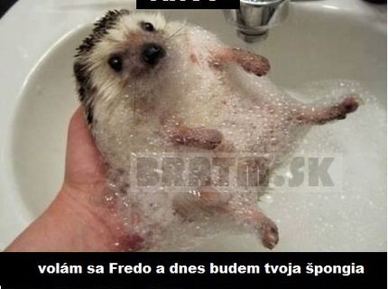 Roztomilá špongia na dnešný kúpeľ :D