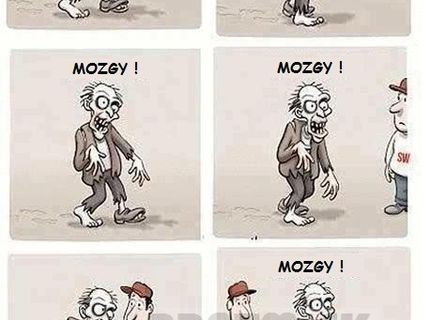 Niektorí ľudia jednoducho nemajú mozog :D