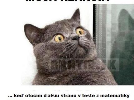 Ako vyzerá moja reakcia :D ste na tom podobne ?
