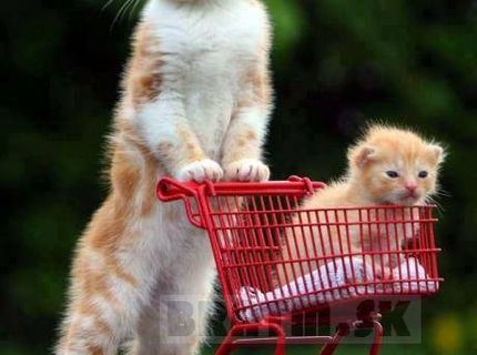 Mama so svojim rozkošným mačiatkom :)