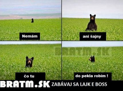 Rozkošnéé  :D s tým medveďom to máme asi niekedy spoločné :D
