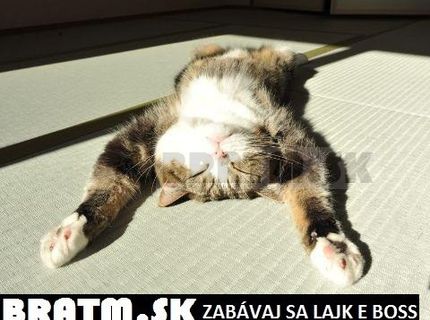Milujeme relax :)