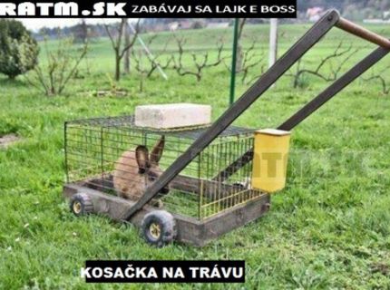 Čo by ste povedali na takúto kosačku ? :D
