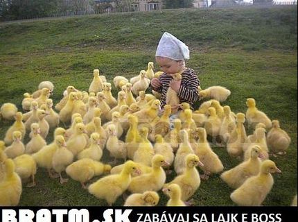 Tak toto je roztomilé :)