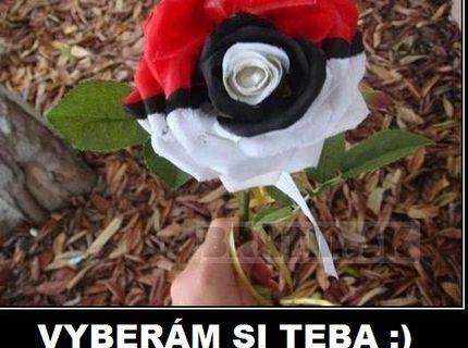 Niečo z pokémonov :)