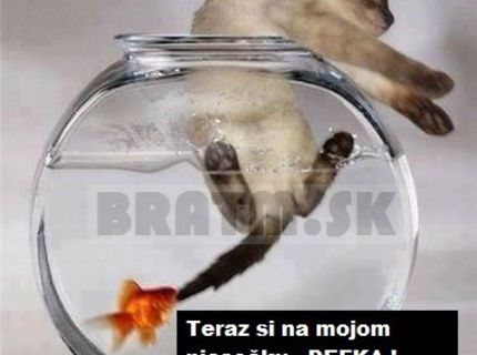 Pomsta rybičky :D